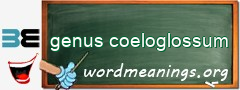 WordMeaning blackboard for genus coeloglossum